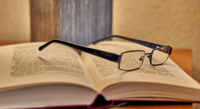 Двухместный номер Standard Landhotel Donaublick