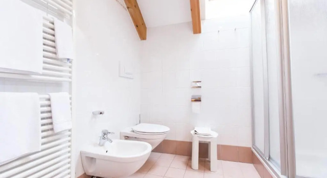 Двухместный номер Standard Hotel Goldene Rose