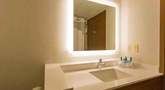 Run of House Holiday Inn Express Hotel & Suites Reading by IHG