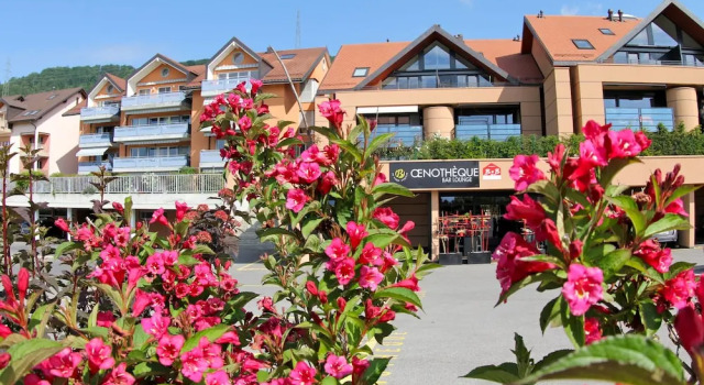 Cave Beetschen, Boek Hotel Bursins 
