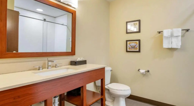 Люкс Comfort Inn & Suites West Des Moines