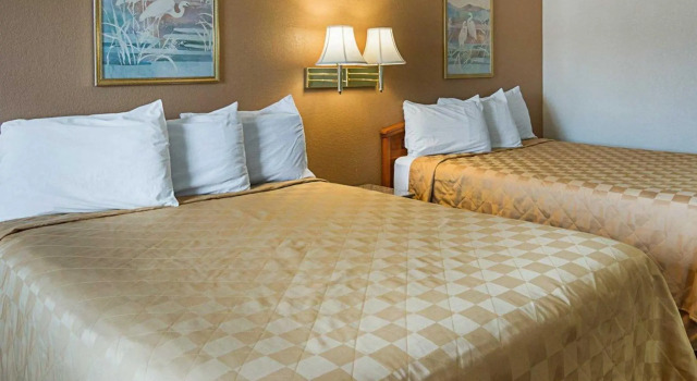 Четырёхместный номер Standard Red Roof Inn Nacogdoches