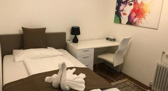 Номер Standard Hotel-Restaurant zum Donaueck Mauthausen