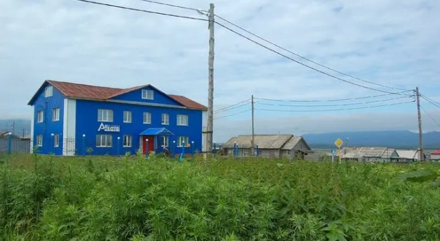 Айсберг