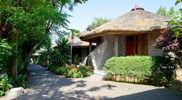 Одноместный номер Deluxe с балконом Abay Minch Lodge