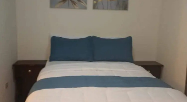 Standard chambre Palms PARADISE