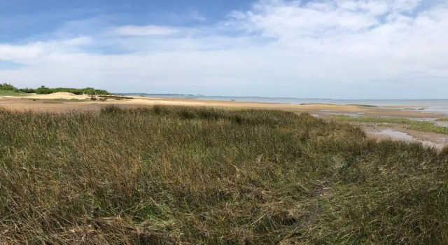 La Dune