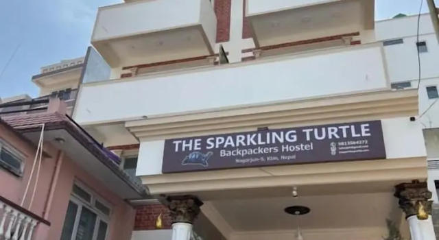 The Sparkling Turtle Backpackers Hostel