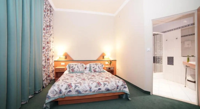 Двухместный номер Deluxe Hotel Polonia Racibórz