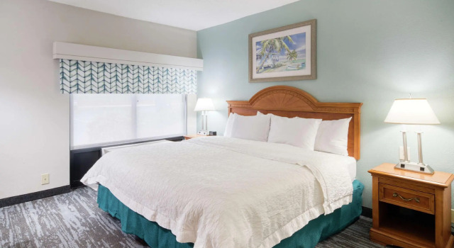 Двухместный люкс Hampton Inn & Suites Wilmington/Wrightsville Beach