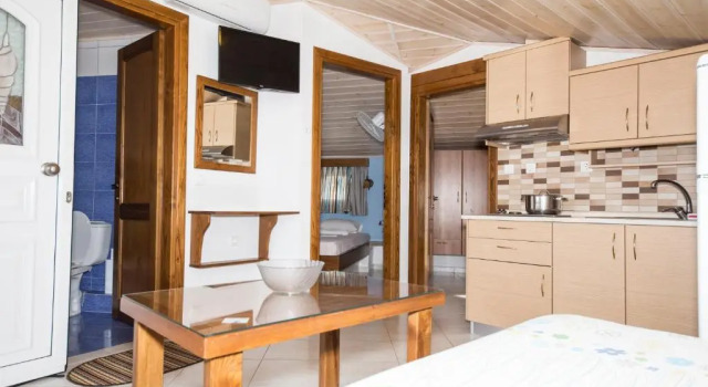 Апартаменты с 2 комнатами Haus Niko Apartments and Suites