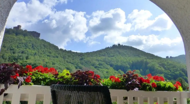 Номер Superior Jugendstilhotel Trifels