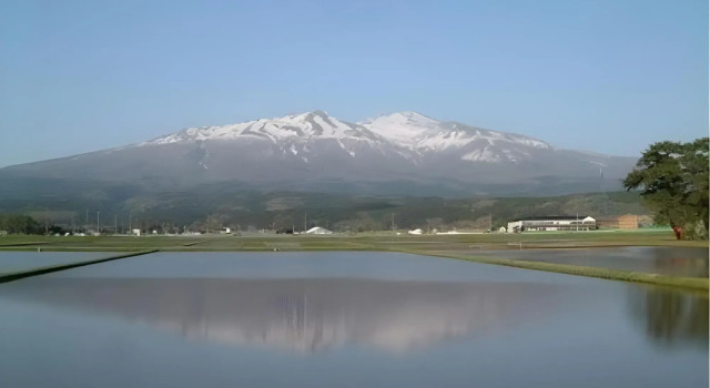 Yurari, Book Hotel  