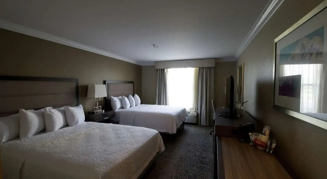 Номер Standard Hampton Inn & Suites Ridgeland