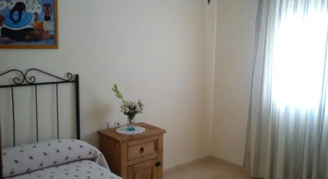 Apartment in Malaga 100580