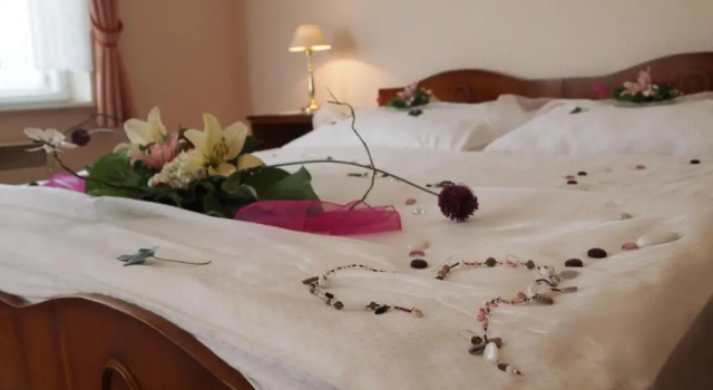 Pension Habermannova Vila, Rezervovat Hotel Levné hotely v Olomouc Region