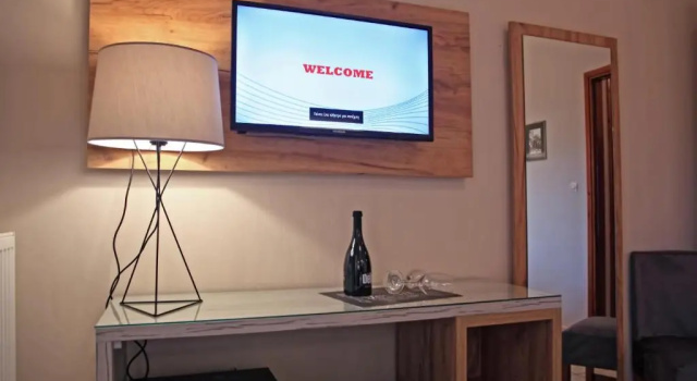 Двухместный номер Standard Arion Hotel