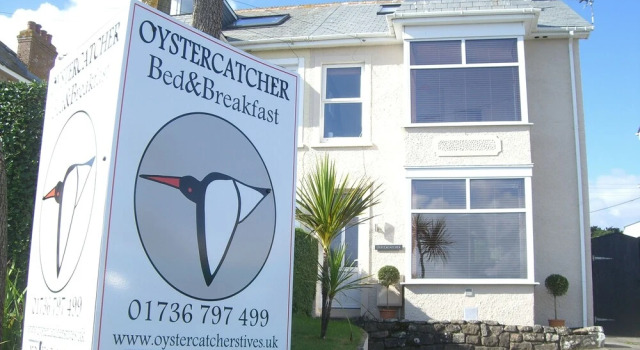 Oystercatcher