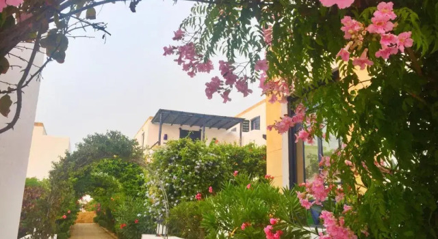 Вилла Les jardins de la lagune