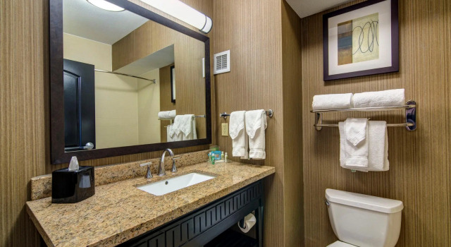 Номер Standard Holiday Inn Arlington NE-Rangers Ballpark by IHG