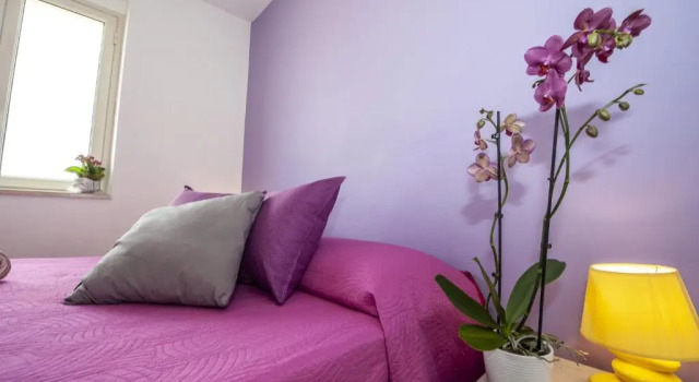 Standard- værelse B&B Villa Eleonora