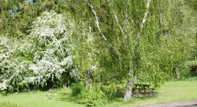 Семейный номер Standard B&B La ferme de Berwausault