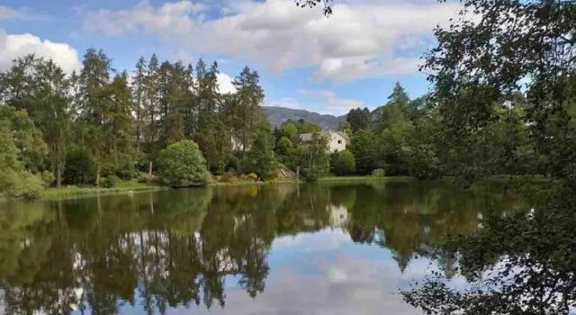 The Beeches Studio, Highlands of Scotland