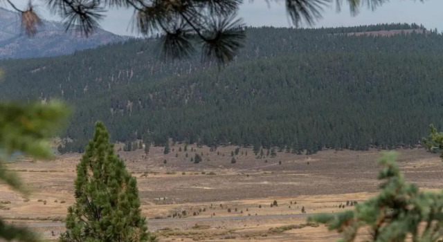 Hawk's Eye by Avantstay Cozy Condo w/ Views & Access to Northstar Resort Community, Reserva ahora Resort Truckee Valle Squaw
