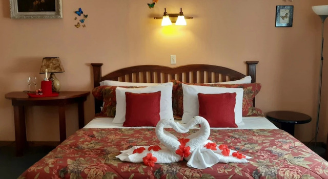 Deluxe Zimmer Hotel El Delfin
