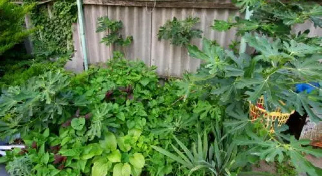 Guest House na Trudyashikhsya 249, Забронировать Гостевой дом Анапа Побережье Анапы