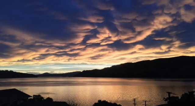 Otago Peninsula Paradise