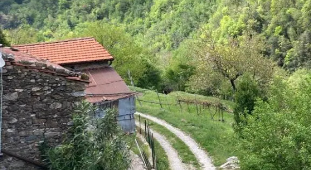 B&B Ameglia, Book Bed and Breakfast Garessio Piedmont