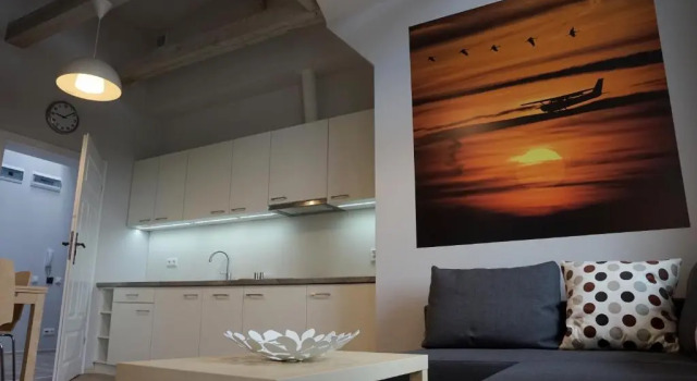 Апартаменты Superior Apartamenty Leszno