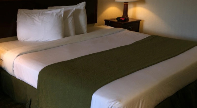 Номер Standard Sawgrass Inn & Conference Center