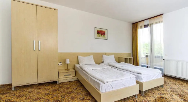Двухместный номер Standard AselTur Brasov
