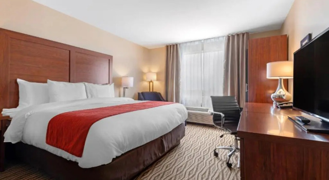 Номер Standard Comfort Inn & Suites