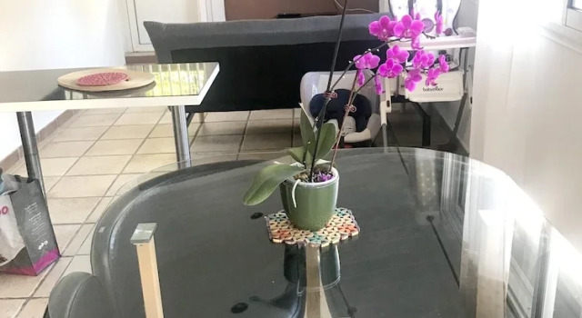 Apartment With one Bedroom in Saint Joseph, With Shared Pool, Enclosed Garden and Wifi, Rezervasyon Daire Entre-Deux Saint-Pierre