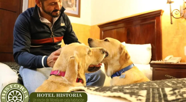 Четырёхместный номер Standard Hotel Historia
