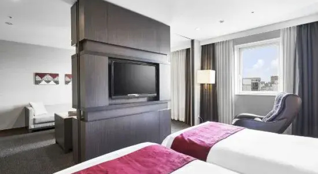 Двухместный номер Executive Daiwa Roynet Hotel Sapporo-Susukino