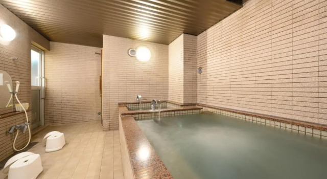 Номер Standard Hotel Capital in Yamagata