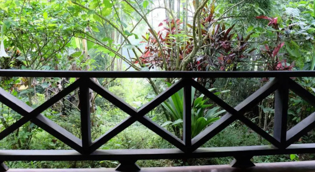 Семейный коттедж Hillside - Nature Lifestyle Lodge