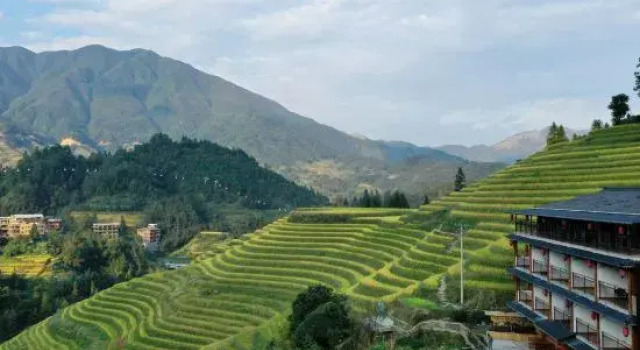 Longjinyuan Banshan Holiday Homestay