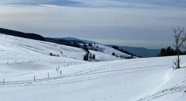 Hochburger.21, Reserva ahora Hotel Hoteles en Baden-Wurtemberg con aparcamiento, Aparcamiento