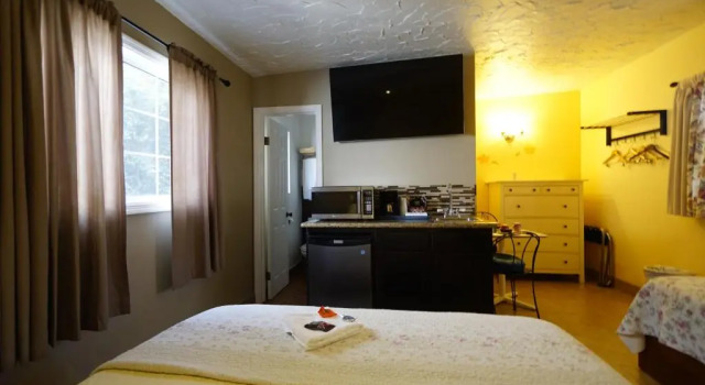 Номер Deluxe Villa Brasil Motel