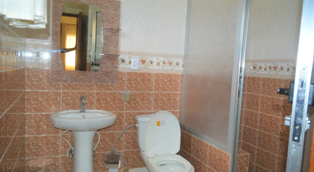 Одноместный люкс Executive Bojelene Guest House