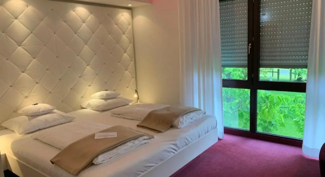 Двухместный номер Superior Mintrops Land Hotel Burgaltendorf