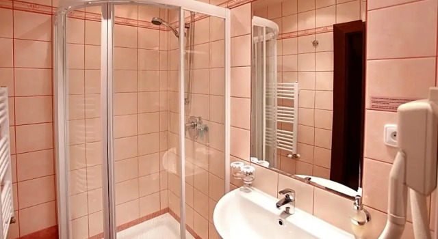 Номер Economy Wellness Hotel Zlatá Hvězda