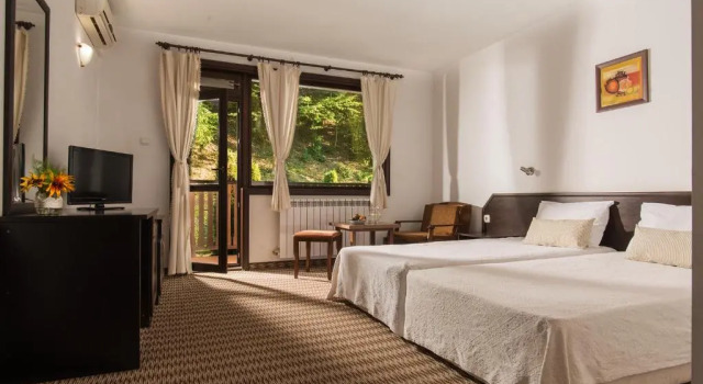 Двухместный номер Standard с видом на горы Family Hotel Bile
