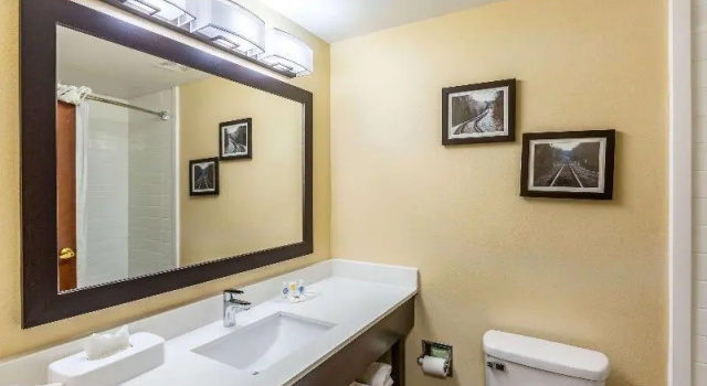 Номер Standard Comfort Suites near Robins Air Force Base