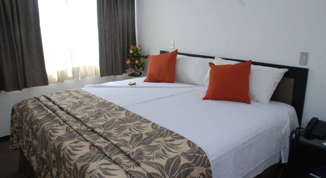 Mini Suites Hotel, Book Inn Motels in Mexico DF, Motel